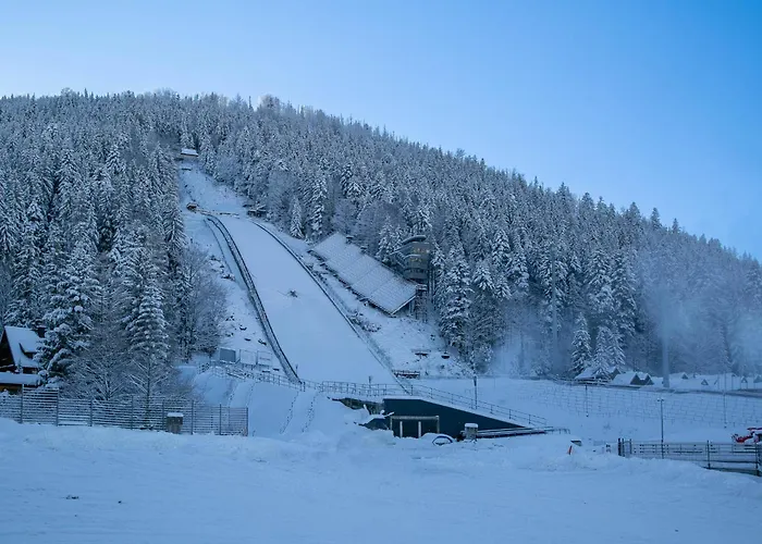 Gorskie Szczyty & 12 Sauna Jacuzzi I Parking W Cenie! 公寓 *